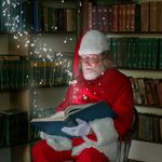 Bob McGraw - @santaonthebay - Instagram