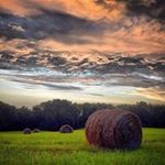 Bob McGregor - @bob.mcgregor.110 - Instagram