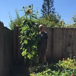 Bob McKenna - @bob.mckenna.18 - Instagram