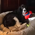 Bob McKenna - @bobmckenna31 - Instagram