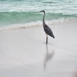 Bob Mckenna - @bobmckenna56 - Instagram