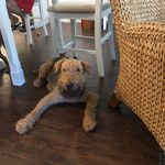 Bob McKeon - @bmc_155 - Instagram