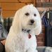 Bob McKeon - Facebook