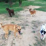 Bob McKeon - @bob.mckeon - Instagram
