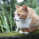 Bob McLaren - @doomie442 - Instagram
