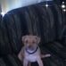 Bob Mclendon - Facebook