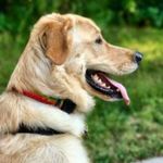 Bob McNabb Aaron - @bob_mcnabb_aaron_ - Instagram