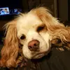 bobbymerwin - @bobbymerwin - TikTok