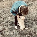Bob - @bobmichels - Instagram