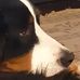 Bob Mischler - Facebook