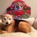 Robert Mong - Facebook