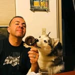 Bob Moreno - @bobmorrn - Instagram