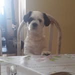 Bob Moreno - @bonitao.bob - Instagram