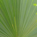 Bob Mosher - @drummerbob52 - Instagram