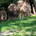 Bob Mull - Facebook