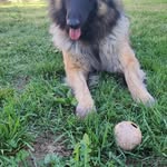 Bob Mullins - @bobmullins6 - Instagram