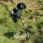 Bobie Shelton Murrell - @bobiemurrell - Instagram