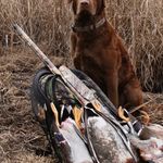 Bob Nash - @bobnash34 - Instagram