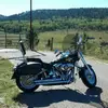 Bad Bob Neumann - @bad.bob.neumann - TikTok