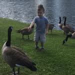 Bob Nichols - @bob_nichols - Instagram
