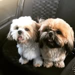 Bob & Nick - @bobnickvv - Instagram