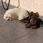 bob_nick - @bob_nick10 - Instagram