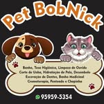 Bob Nick - @petbobnick - Instagram