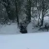 Bob nickel - @bob.nickel2 - TikTok