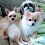 Bob,Nick,Theo - @bob.nick.theo - Instagram