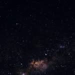 Bob - @bobno.one - Instagram