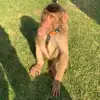 Bobochspam - @boboch932 - TikTok