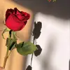 debboboddo - @debboboddo97 - TikTok