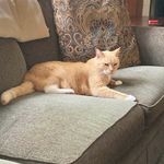 Bob Mohr - @bob.mohr.315 - Instagram