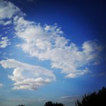 Edna Taylor - @boboldhamp - Instagram