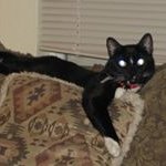 Bob Olsen - @olsen564752 - Instagram