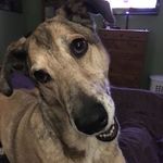 Bob Ostrander - @thebob3919 - Instagram