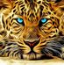 Bob Palma - Facebook