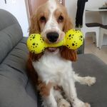 Bob Palma - @bob_palma_ - Instagram