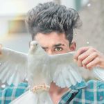 Bob pandì - @bob_pandi_ - Instagram