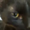 bobpark3 - @bobpark3 - TikTok