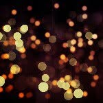 @bobpark - Instagram