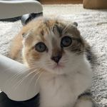 Bob : Patrick - @bobkubpatrick - Instagram