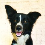 Bob & Patrick - @02borders - Instagram