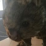 Bob Patrick - @bobpatri - Instagram