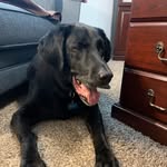 Bob Patterson - @bobpattersoncf - Instagram