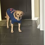 Bob Patterson - @bob_patters0n - Instagram