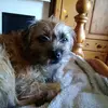 Anna_heath - @peggybobmaxx - TikTok