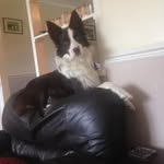 Bob Pegg - @bobpegg1999 - Instagram