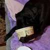 bobpemberton677 - @bobpemberton677 - TikTok