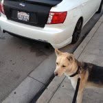 Bob Peng - @lronboy823 - Instagram
